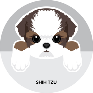 Shih Tzu Grey Sticker