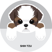 Shih Tzu Grey Sticker