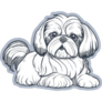 Shih Tzu Hand Drawn Sticker
