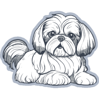 Shih Tzu Hand Drawn Sticker