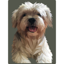 Shih Tzu Illustration Sticker