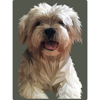Shih Tzu Illustration Sticker