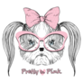 Shih Tzu In Pink Sticker