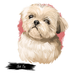 Shih Tzu Lap Dog Sticker