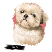 Shih Tzu Lap Dog Sticker