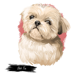 Shih Tzu Lap Dog Sticker