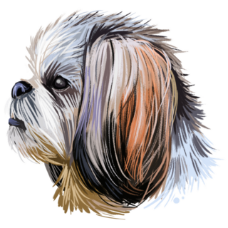 Shih Tzu Muzzle Sticker