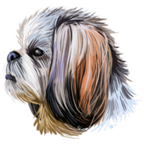 Shih Tzu Muzzle Sticker