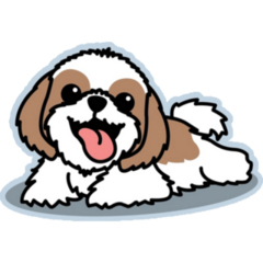 Shih Tzu On Blue Sticker