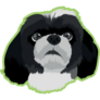 Shih Tzu On Green Sticker