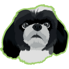 Shih Tzu On Green Sticker