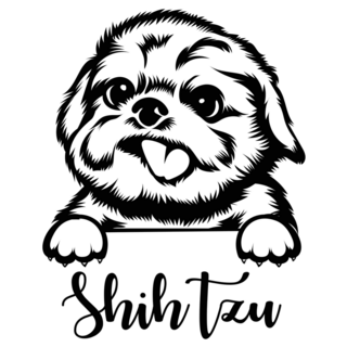 Shih Tzu Peeking Sticker