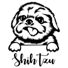 Shih Tzu Peeking Sticker
