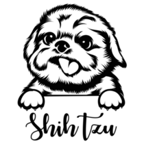 Shih Tzu Peeking Sticker