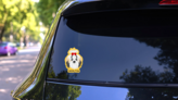 Shih Tzu Pop Art Sticker on a Rear Car Window (New) example