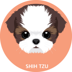 Shih Tzu Puppy Circle Sticker