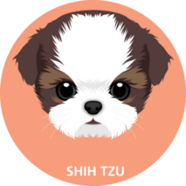 Shih Tzu Puppy Circle Sticker