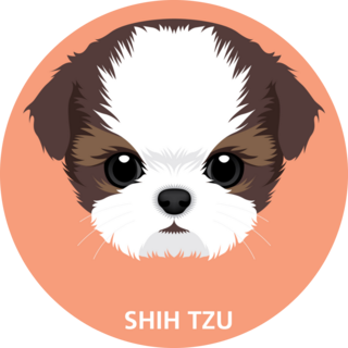 Shih Tzu Puppy Circle Sticker