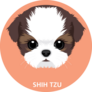 Shih Tzu Puppy Circle Sticker