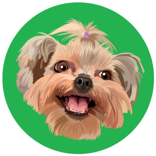Shih Tzu Round Green Sticker
