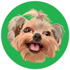 Shih Tzu Round Green Sticker