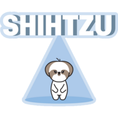 Shih Tzu Spotlight Sticker