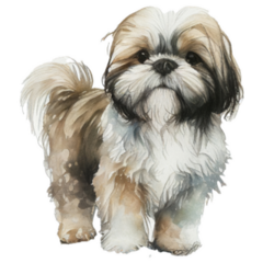 Shih Tzu Standing Sticker
