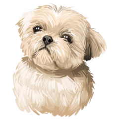 Shih Tzu Toy Dog Sticker