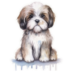 Shih Tzu Watercolor Sticker