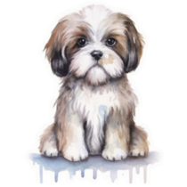 Shih Tzu Watercolor Sticker