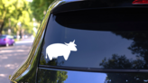 Short Cow Sticker on a Rear Car Window (New) example