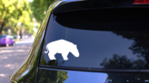 Short Dinosaur Sticker on a Rear Car Window (New) example