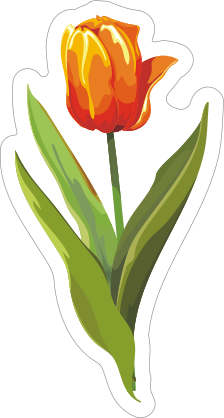 Short Orange Tulip Flower Sticker