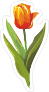 Short Orange Tulip Flower Sticker
