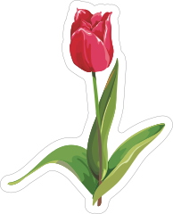 Short Pink Tulip Flower Sticker