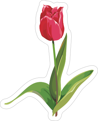 Short Pink Tulip Flower Sticker