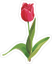 Short Pink Tulip Flower Sticker