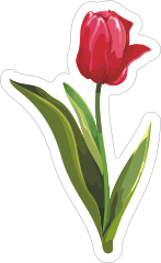 Short Red Tulip Flower Sticker