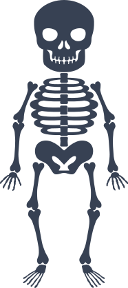Short Skeleton Sticker
