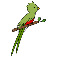 Short-tailed Quetzal Sticker