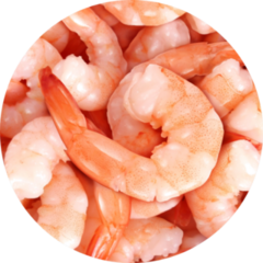 Shrimp Cocktail Close Up Pattern Sticker