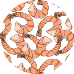 Shrimp Endless Pattern Sticker