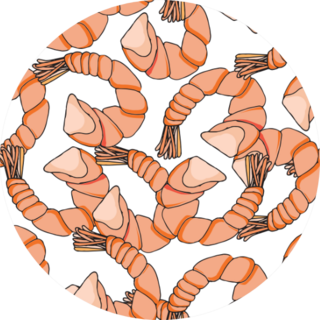 Shrimp Endless Pattern Sticker