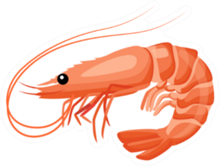 Shrimp Icon In Flat Style Sticker