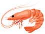 Shrimp Icon In Flat Style Sticker