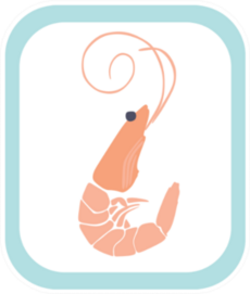 Shrimp Illustration With Blue Frame Sticker