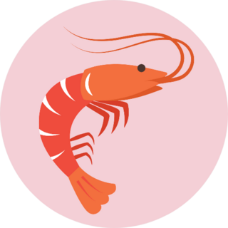 Shrimp In Flat Style Pink Sticker