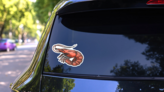 Shrimp Sea Caridea Animal Sketch Sticker on a Rear Car Window (New) example