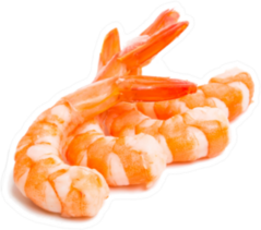 Shrimp Set Isolated On White Sticker