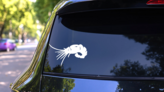 Shrimp Sticker on a Rear Car Window (New) example